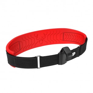 Ceinture Forward Wing Belt 2.0 