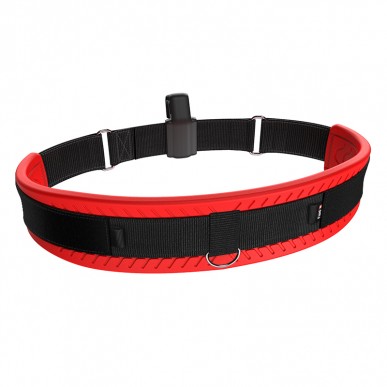 Ceinture Forward Wing Belt 2.0 