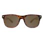 Lunette Knockaround - Glossy Tortoise Shell / Amber Fort Knocks