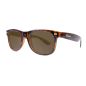 Lunette Knockaround - Glossy Tortoise Shell / Amber Fort Knocks