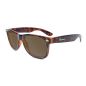 Lunette Knockaround - Glossy Tortoise Shell / Amber Fort Knocks